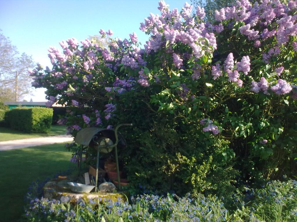 Le Clos Du Golf Dame-Marie-les-Bois エクステリア 写真
